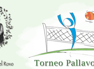 volley2010
