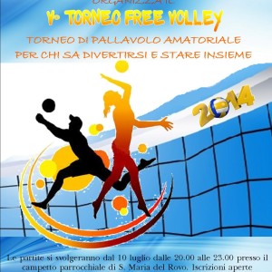 free volley 2014