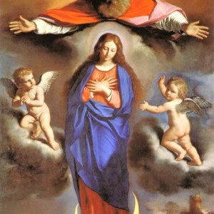 immacolata_23